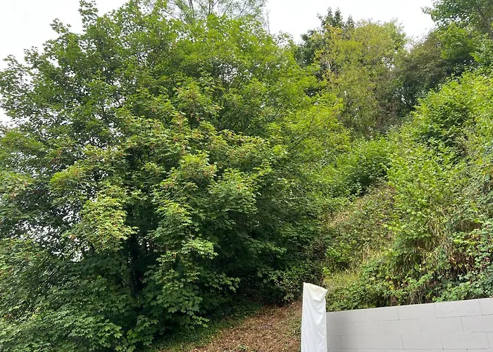 Aux Berges Du Bocq Feriehus *